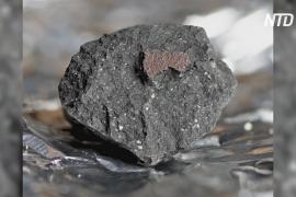 Впервые за 30 лет в Великобритании нашли метеорит