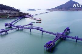 Два острова в Южной Корее стали фиолетовыми, чтобы привлечь туристов