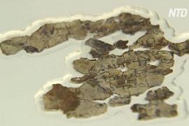 Новые фрагменты свитков Мёртвого моря нашли в израильской пещере