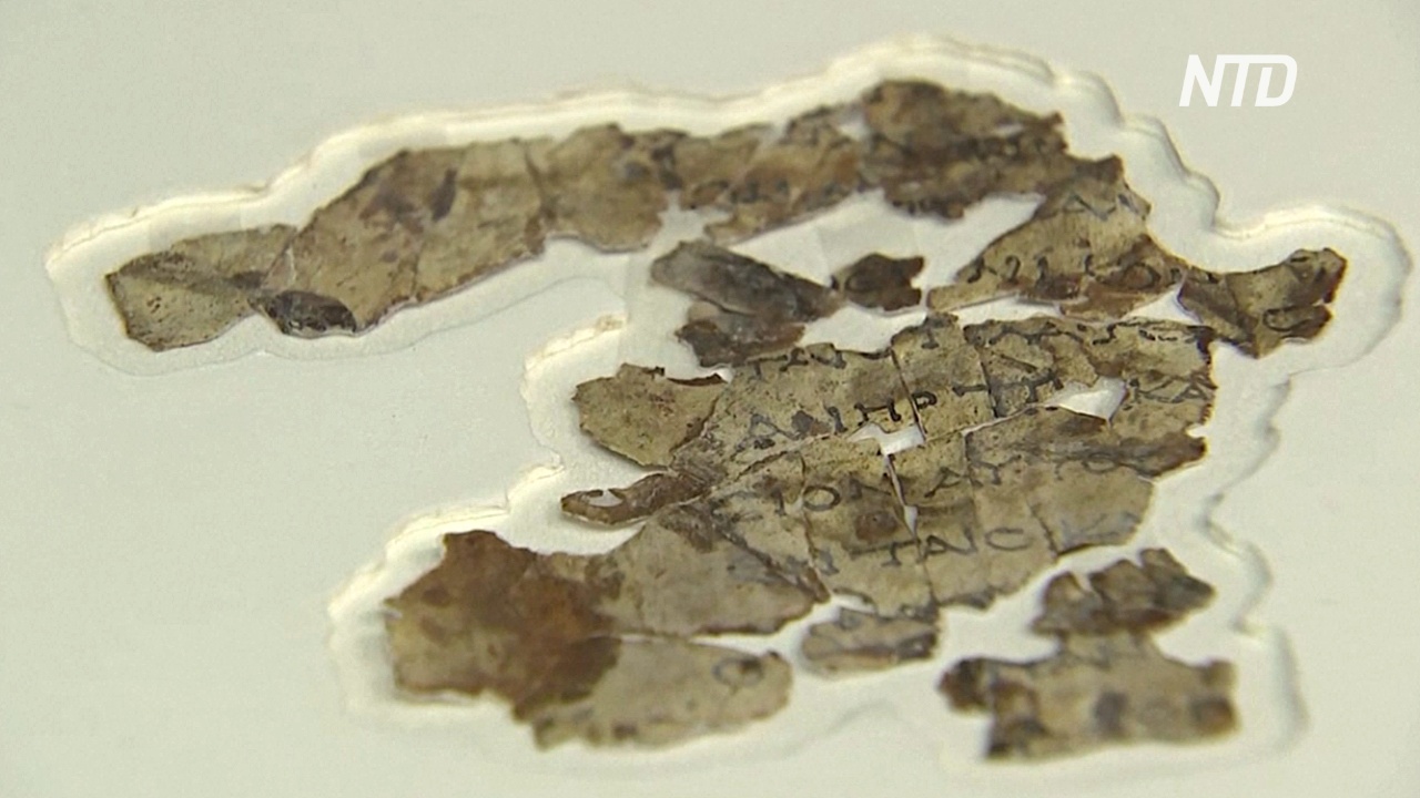 Новые фрагменты свитков Мёртвого моря нашли в израильской пещере
