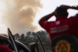 На северо-востоке Мексики полыхает масштабный лесной пожар