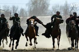 Туша козла и перетягивание каната: как две кыргызские деревни отметили Новруз