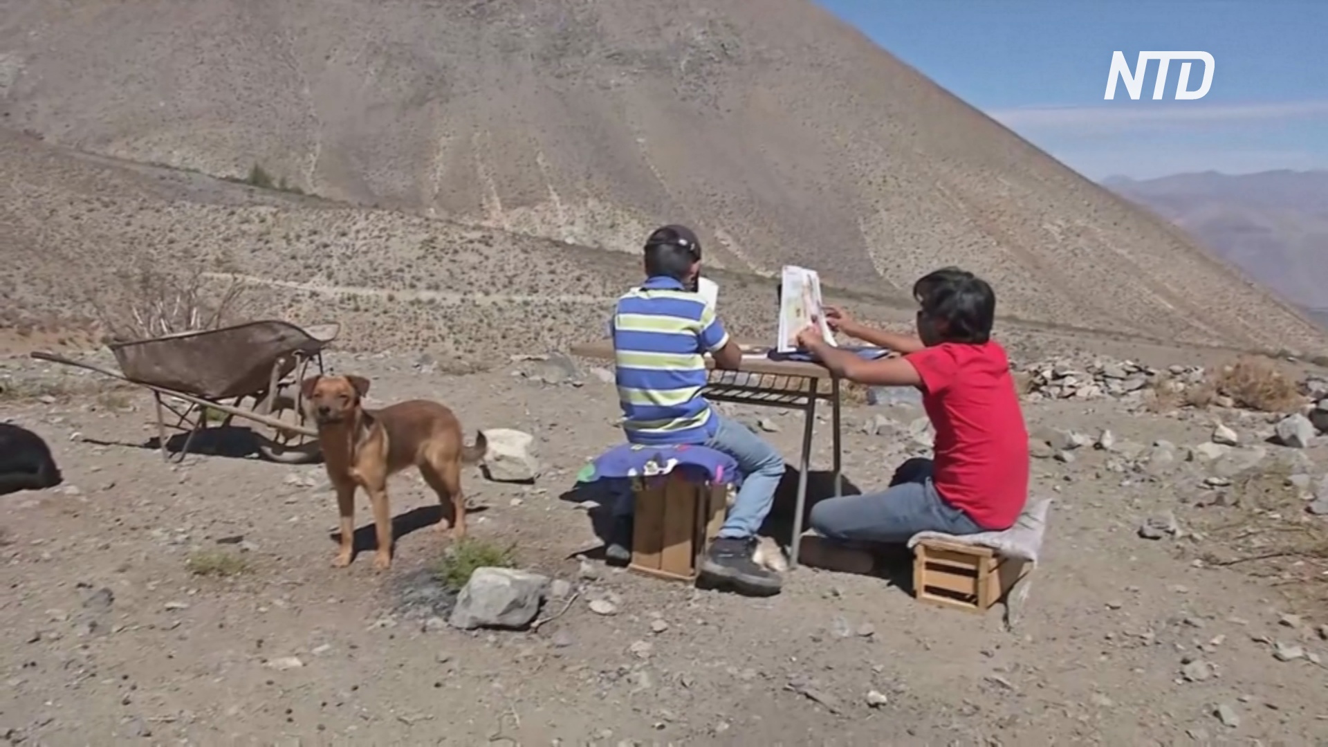 Школьники в Чили каждый день ходят на гору, чтобы посещать онлайн-уроки