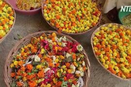 В Индии очищают Ганг от цветочных отходов и делают из них ароматические палочки