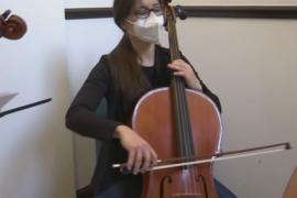 Концерты с доставкой на дом: новая услуга Франкфуртского симфонического оркестра