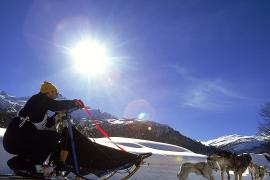 Гонка на собачьих упряжках длиной в 150 км прошла на Байкале