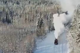 Пассажиры ретропоезда любуются лесами Карелии