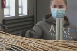 Соломинки из тростника начали делать в Эстонии