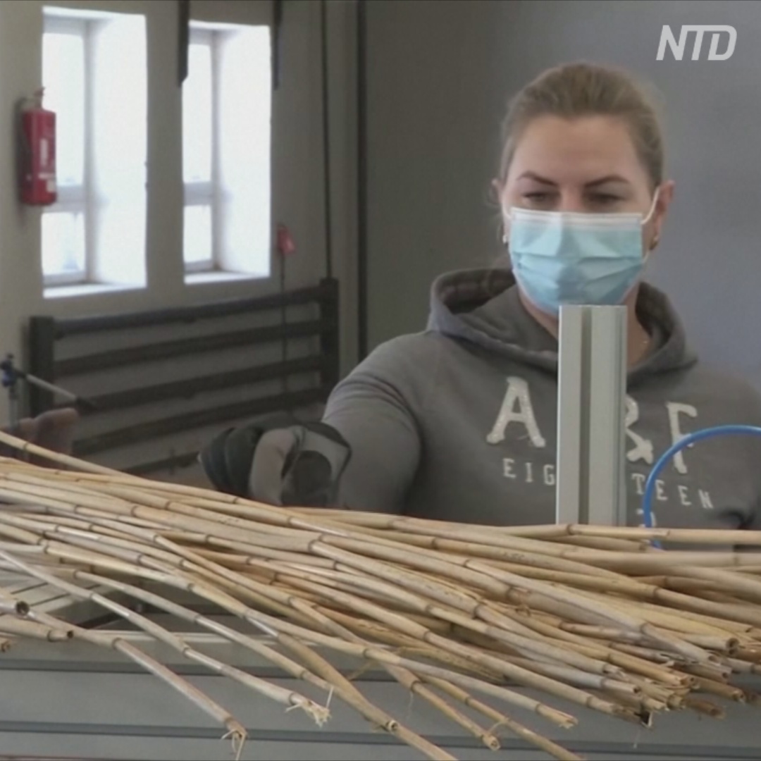 Соломинки из тростника начали делать в Эстонии
