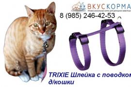 Купить всё необходимое для кошки