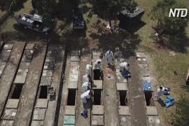 В Сан-Паулу извлекают останки из старых могил, чтобы освободить место для умерших от COVID-19