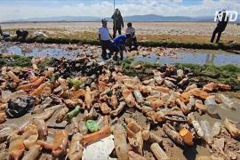 В боливийском озере Уру-Уру столько мусора, что не видно воды