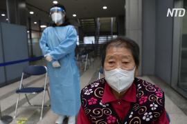 В Южной Корее выявили рекордное с января суточное число заболевших COVID