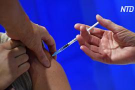 В США и ЮАР приостановили использование вакцины «Джонсон и Джонсон»