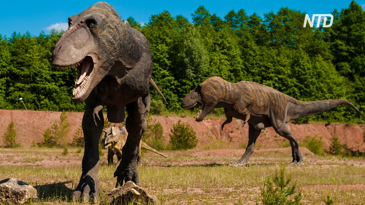 Оказывается, на Земле жило 2,5 млрд тираннозавров