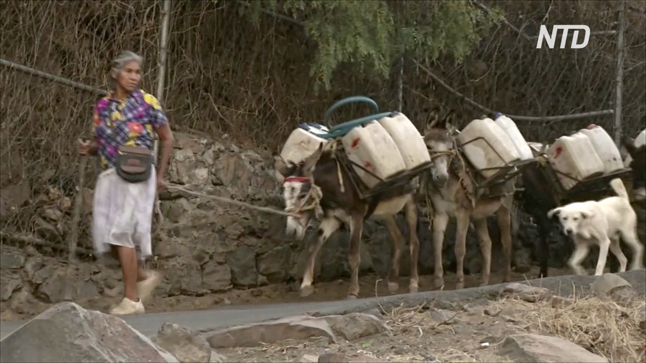 Жители Мехико вынуждены доставлять воду на ослах