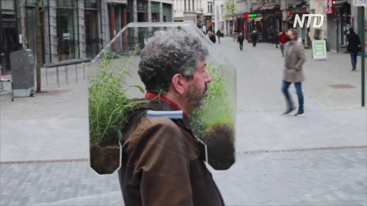 Оазис на голове: бельгиец вместо маски надевает на себя мини-теплицу