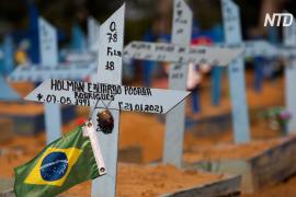 Умерших от COVID в Бразилии – больше 400 тысяч