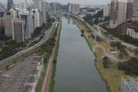 Бразильскую реку очистили, и в неё снова возвращается жизнь