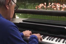 Питомцам зоопарка в Колумбии играли классическую музыку