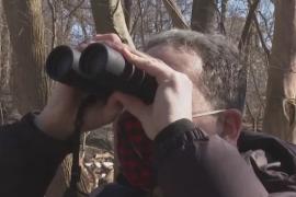 В Центральном парке Нью-Йорка развелось слишком много наблюдателей за птицами