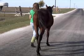 Девочка прошла 14 км, чтобы спасти лошадь