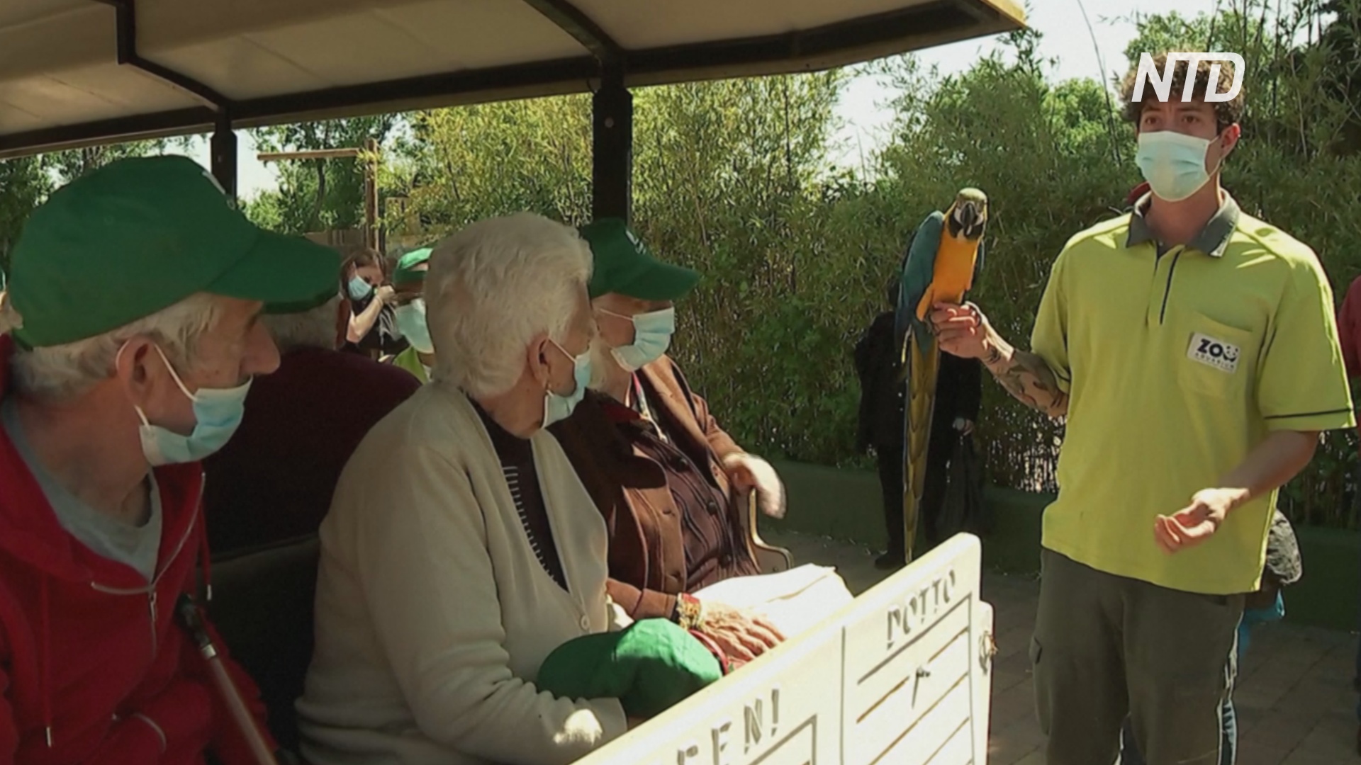 Пандотерапия: жителей мадридского дома престарелых вывезли на прогулку в зоопарк