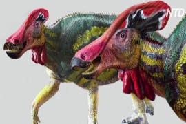 Мексиканские учёные открыли новый вид динозавров с гребнем