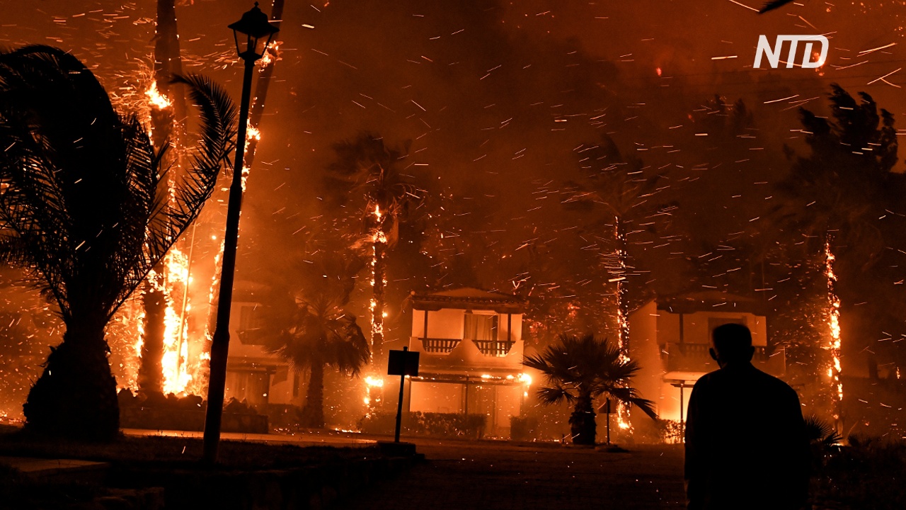 В Греции людей эвакуируют из-за лесного пожара