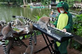 Музыка для зверей: тайские школьники выступают в зоопарке