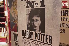 Эксклюзивный магазин Гарри Поттера открывается в Нью-Йорке