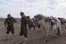 Из Оймякона в Москву: двое якутов отправились в поход на лошадях