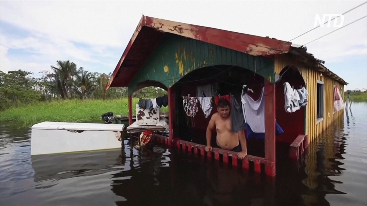 Уровень воды в притоках Амазонки бьёт 100-летние рекорды