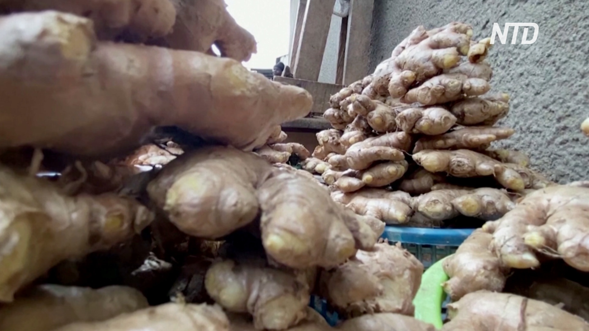Суперпродукт в период пандемии: нигерийка процветает, выращивая имбирь