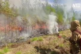 В Сибири и на Дальнем Востоке горят леса