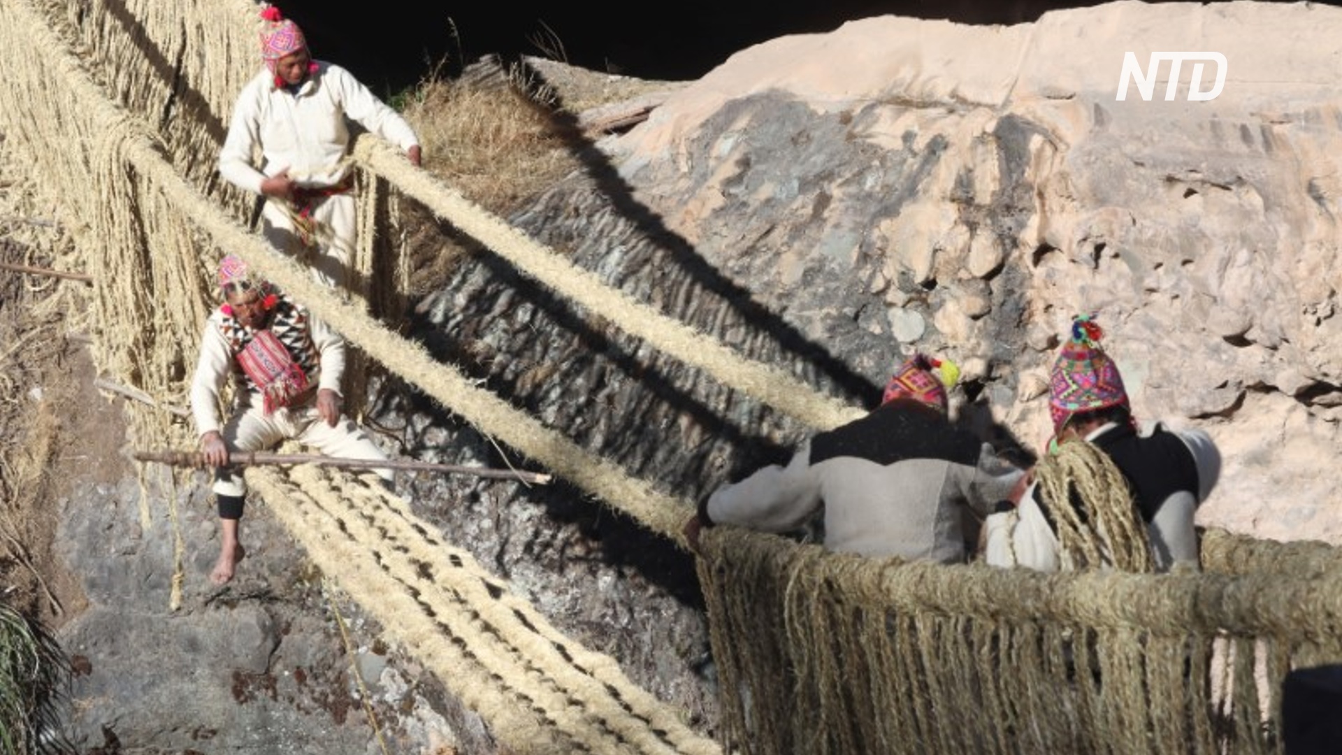 Индейцы вручную возводят гигантский верёвочный мост в Перу