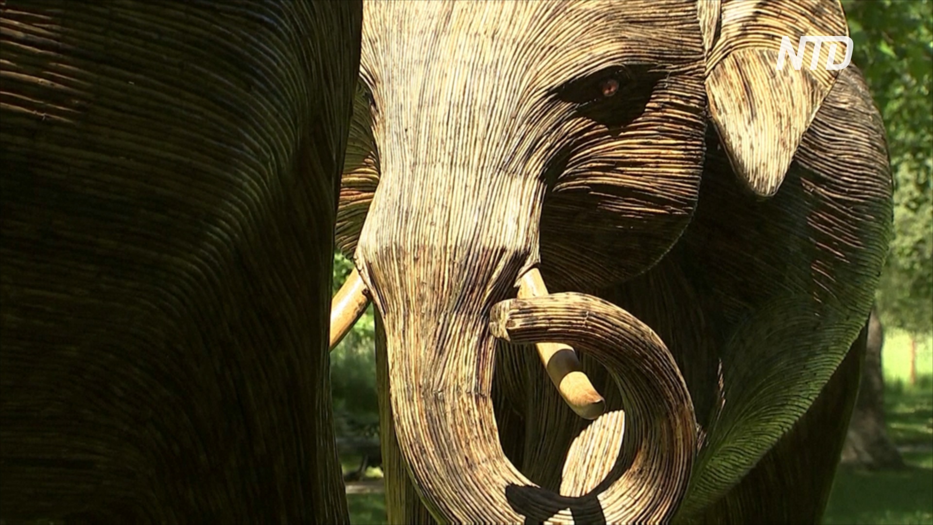 Городское сафари: в лондонских парках появилось 100 фигур слонов