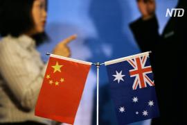Австралия будет решать винный спор с Китаем в ВТО