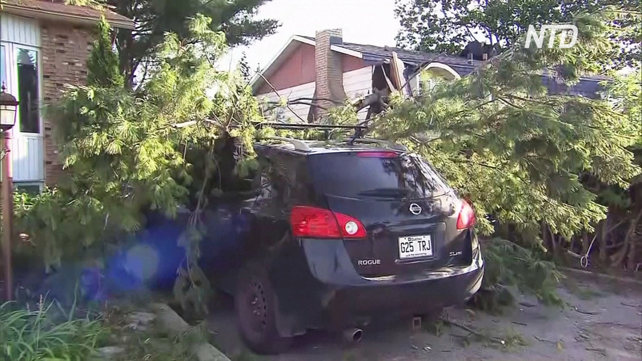 В пригороде Монреаля пронёсся торнадо: один погибший В пригороде Монреаля пронёсся торнадо: один погибший