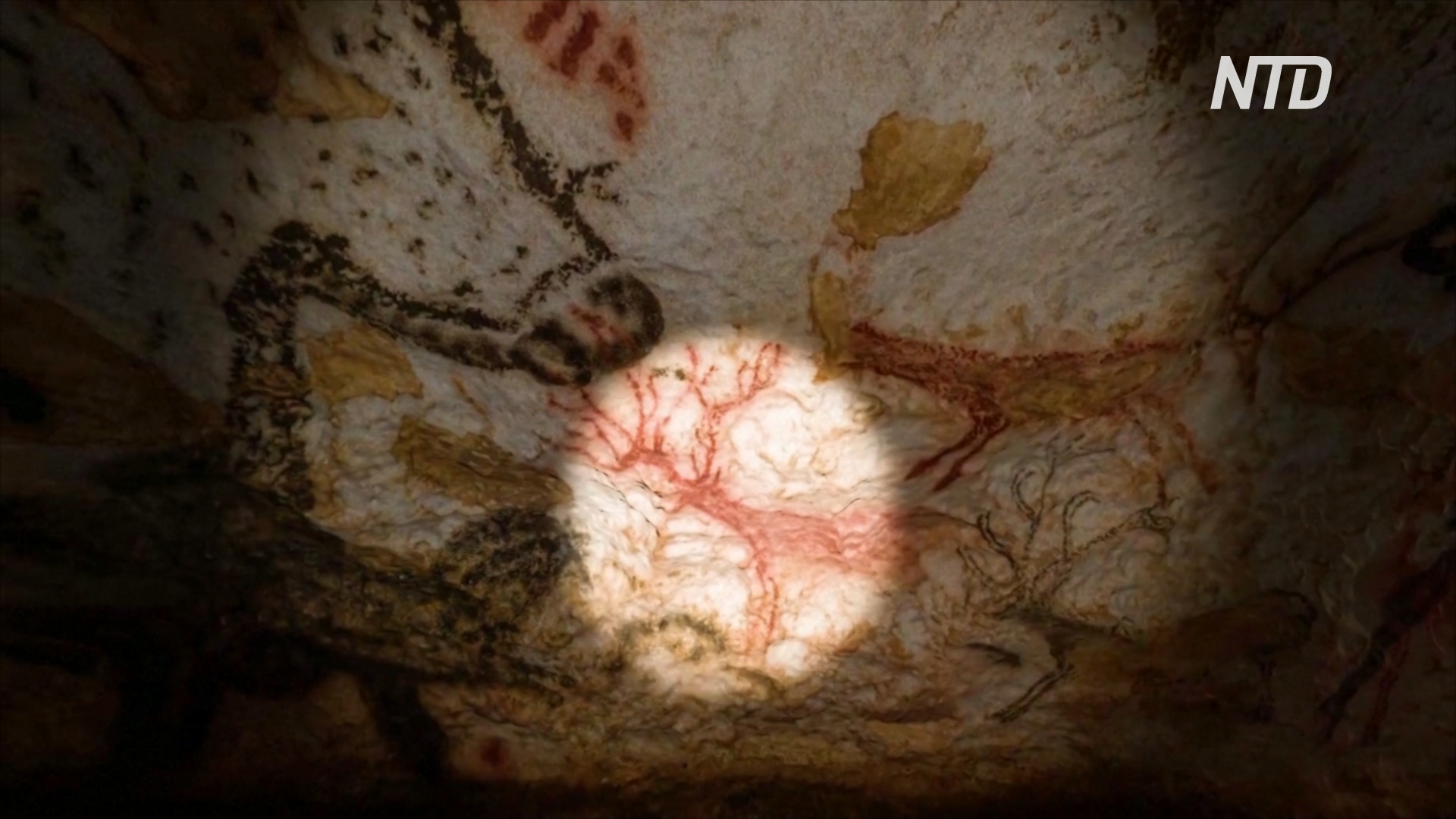 Виртуальная экскурсия: пещера Ласко во Франции снова доступна для туристов
