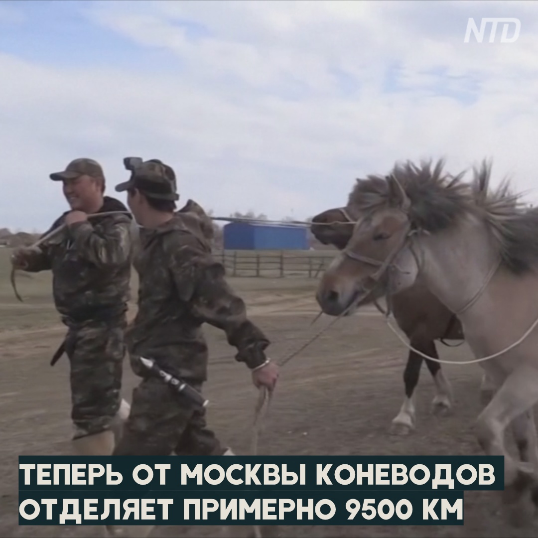Двое якутов на конях проедут из Оймякона в Москву