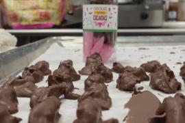 Цикад в шоколаде продают в американской кондитерской