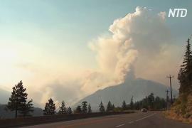 В Канаде полыхает около 200 лесных пожаров