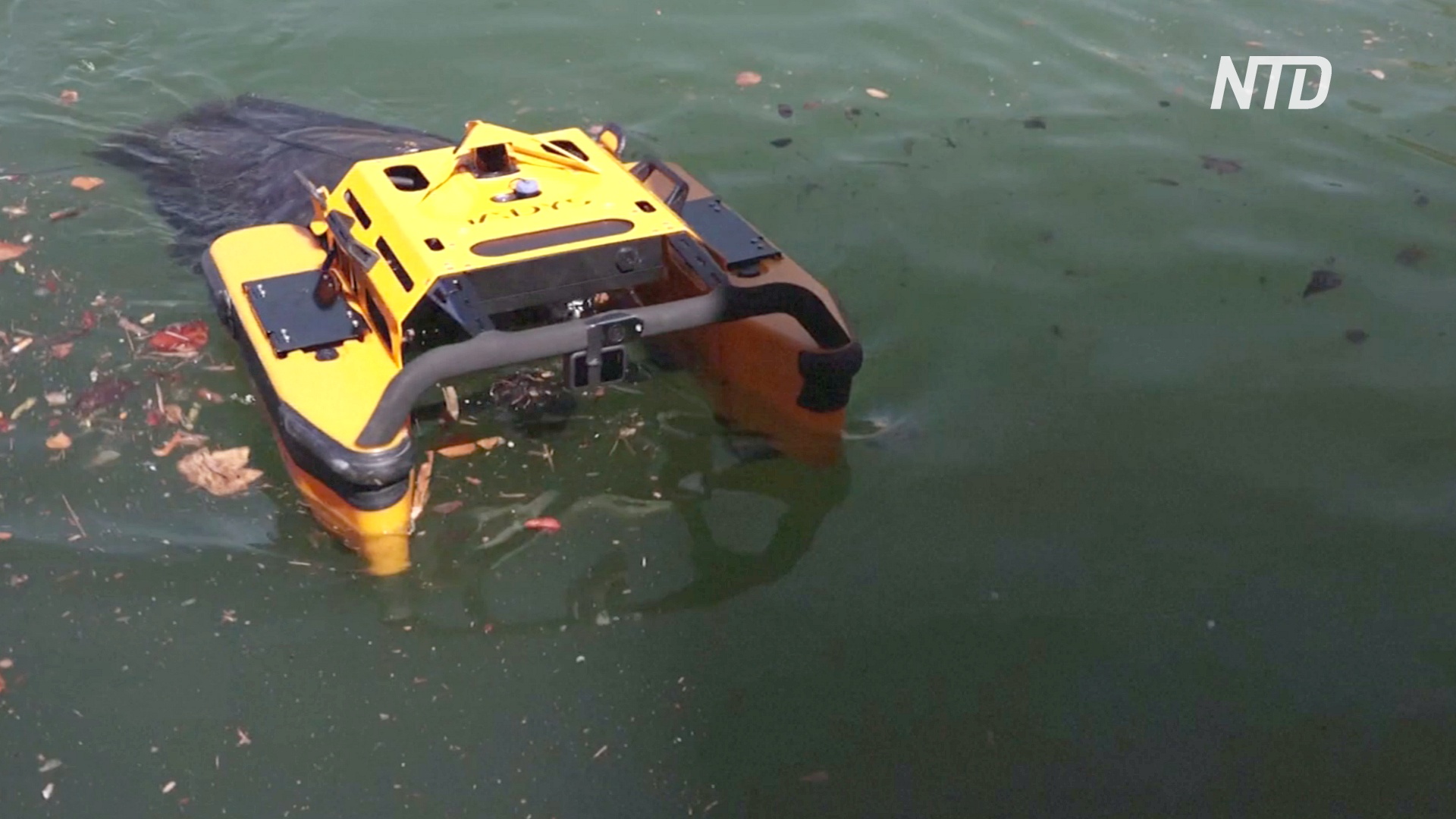 Новый робот-медуза «ест» мусор на поверхности моря