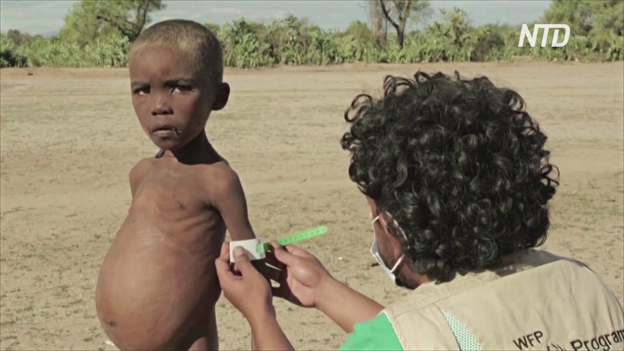 Отчёт ООН: голод в мире стал масштабнее из-за пандемии