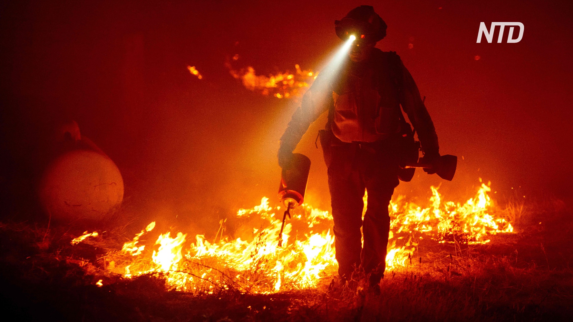 «Не уедешь – тебе конец»: в Орегоне полыхает сильнейший лесной пожар