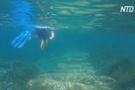 Древняя подводная гавань: Кипр приглашает дайверов