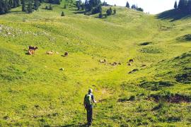 Через Альпы несмотря на болезнь Паркинсона: швейцарец бросил вызов себе