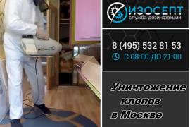 Клопы, по-прежнему, остаются проблемой. Но она решается!