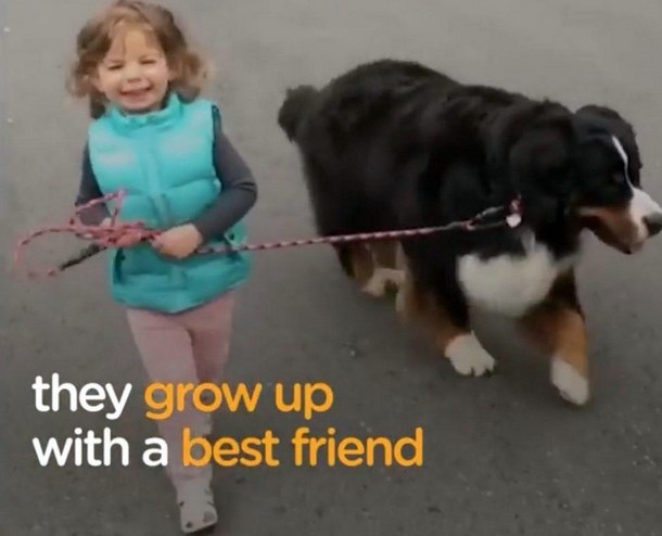 Как маленькие дети дружат с собаками. Весёлое видео.